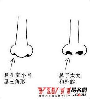 鼻孔一大一小面相|鼻孔一大一小的面相詳解